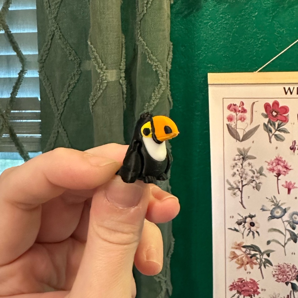 Mini Articulated Toucan